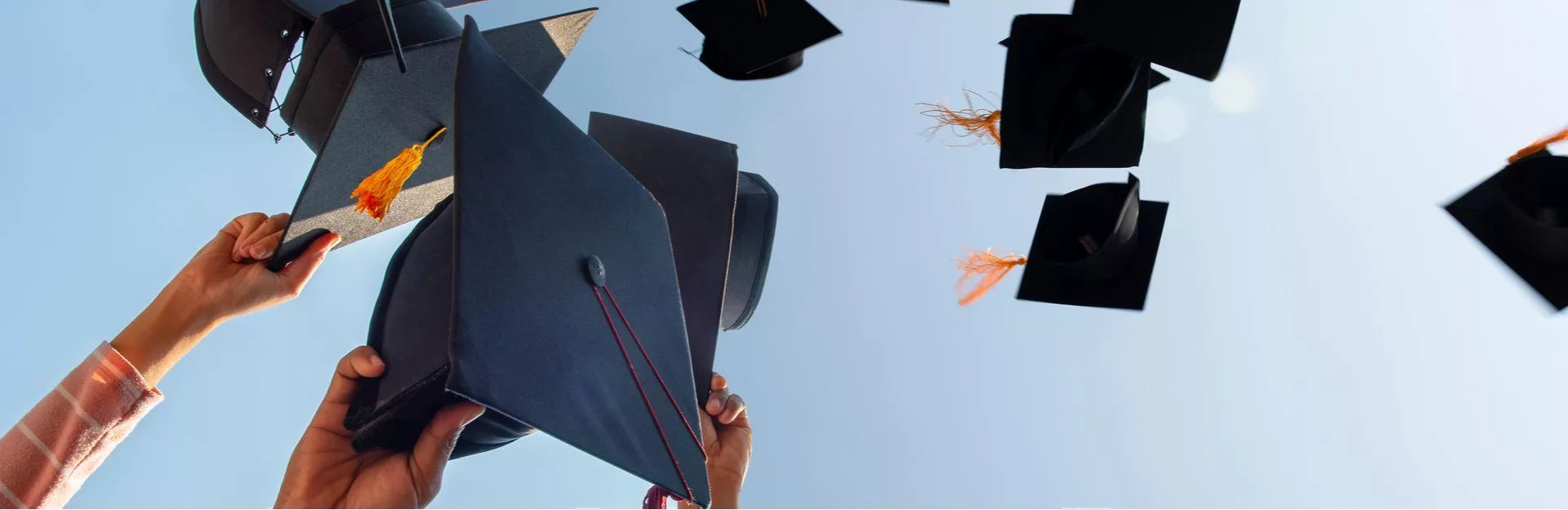 Double Degree