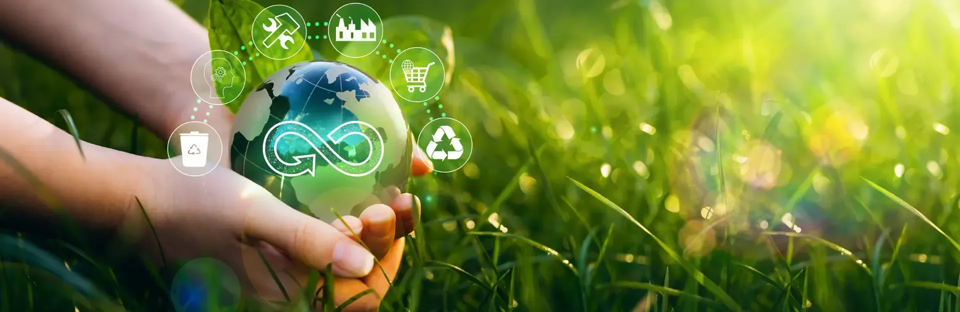 Certificate Programme Circular Economy und Innovation